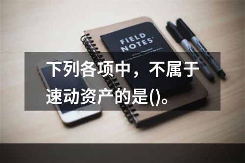 下列各项中，不属于速动资产的是()。