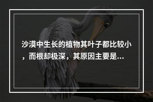 沙漠中生长的植物其叶子都比较小，而根却极深，其原因主要是()