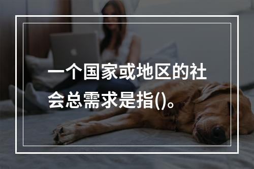 一个国家或地区的社会总需求是指()。