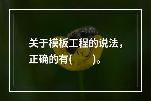 关于模板工程的说法，正确的有(　　)。