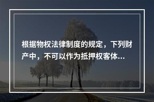 根据物权法律制度的规定，下列财产中，不可以作为抵押权客体的是