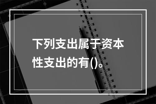 下列支出属于资本性支出的有()。