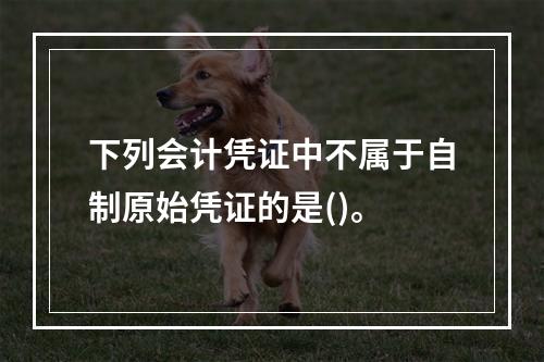 下列会计凭证中不属于自制原始凭证的是()。