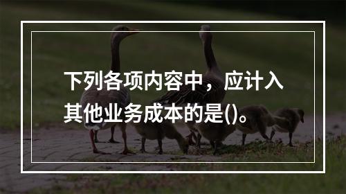 下列各项内容中，应计入其他业务成本的是()。