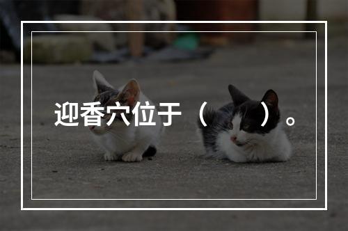 迎香穴位于（　　）。