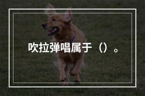 吹拉弹唱属于（）。