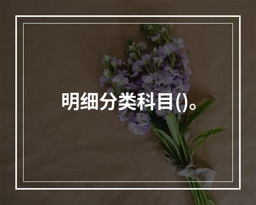 明细分类科目()。