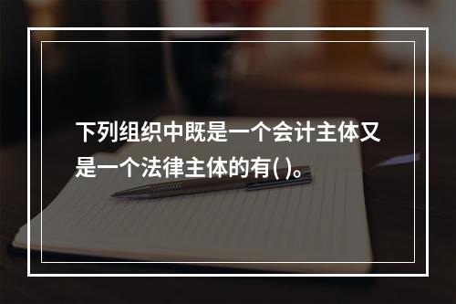 下列组织中既是一个会计主体又是一个法律主体的有( )。