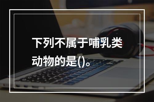 下列不属于哺乳类动物的是()。