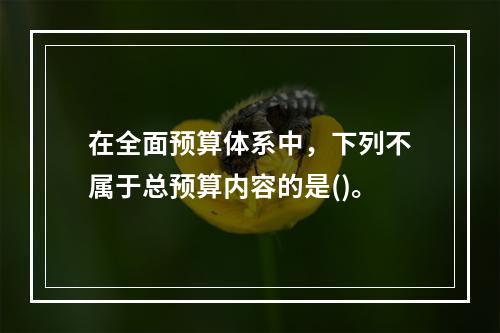 在全面预算体系中，下列不属于总预算内容的是()。