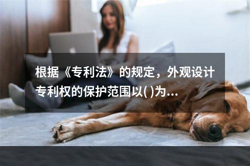 根据《专利法》的规定，外观设计专利权的保护范围以( )为准。