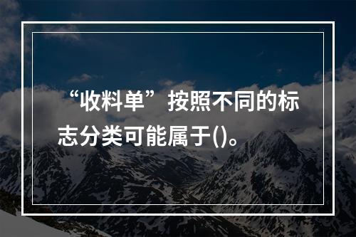 “收料单”按照不同的标志分类可能属于()。