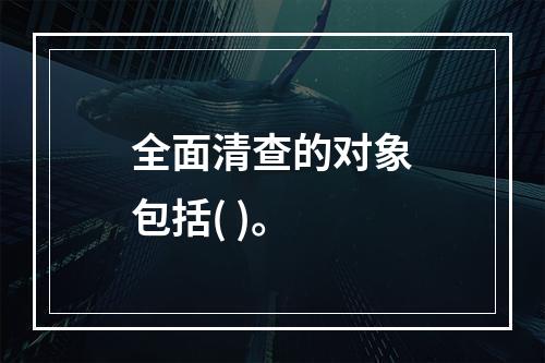 全面清查的对象包括( )。