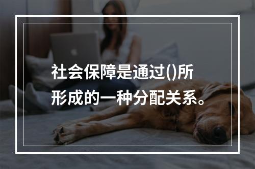 社会保障是通过()所形成的一种分配关系。