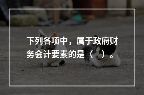 下列各项中，属于政府财务会计要素的是（　）。