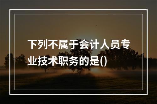 下列不属于会计人员专业技术职务的是()