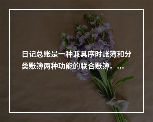 日记总账是一种兼具序时账簿和分类账簿两种功能的联合账簿。()