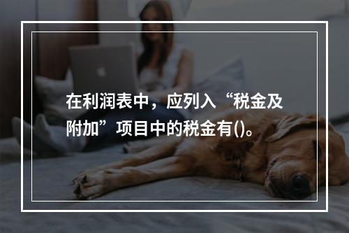 在利润表中，应列入“税金及附加”项目中的税金有()。