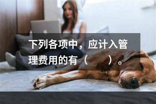 下列各项中，应计入管理费用的有（　　）。