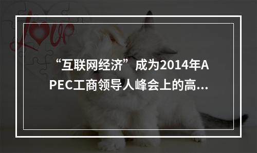 “互联网经济”成为2014年APEC工商领导人峰会上的高频热