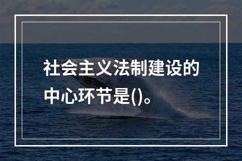 社会主义法制建设的中心环节是()。