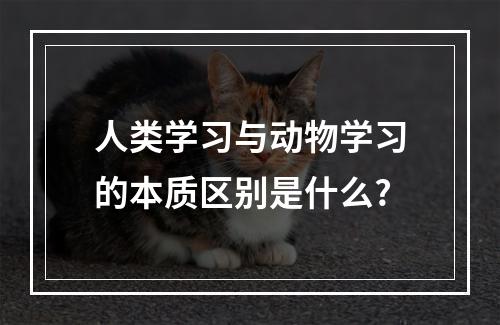 人类学习与动物学习的本质区别是什么?