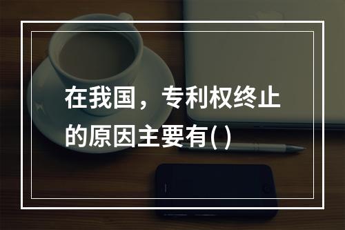 在我国，专利权终止的原因主要有( )