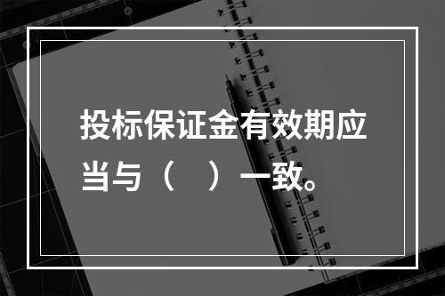 投标保证金有效期应当与（　）一致。