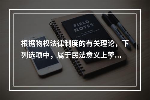 根据物权法律制度的有关理论，下列选项中，属于民法意义上孳息的