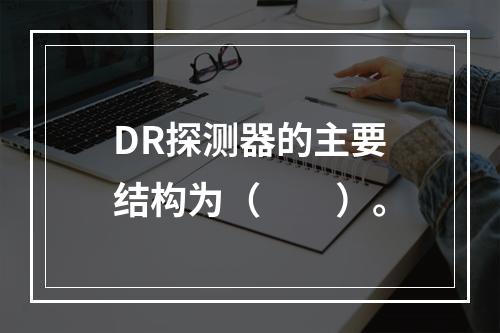 DR探测器的主要结构为（　　）。