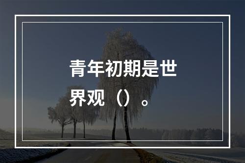 青年初期是世界观（）。