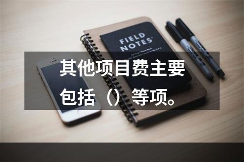 其他项目费主要包括（）等项。