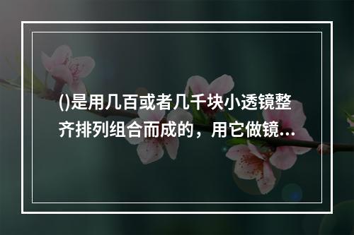 ()是用几百或者几千块小透镜整齐排列组合而成的，用它做镜头可