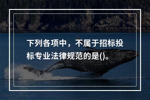 下列各项中，不属于招标投标专业法律规范的是()。