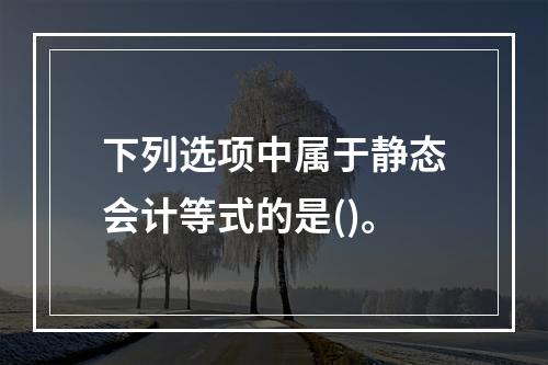 下列选项中属于静态会计等式的是()。