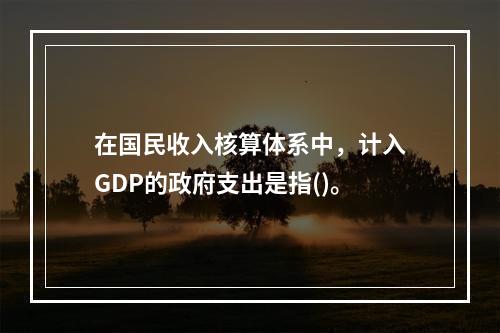 在国民收入核算体系中，计入GDP的政府支出是指()。