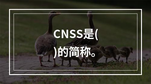 CNSS是()的简称。