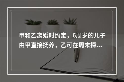 甲和乙离婚时约定，6周岁的儿子由甲直接抚养，乙可在周末探望儿