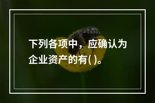 下列各项中，应确认为企业资产的有( )。