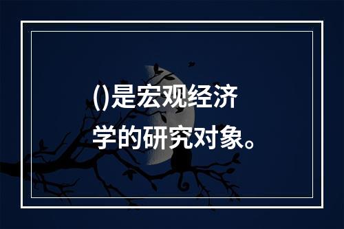 ()是宏观经济学的研究对象。