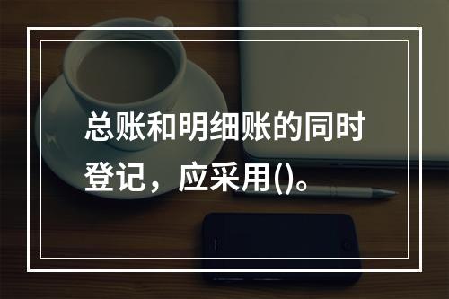 总账和明细账的同时登记，应采用()。