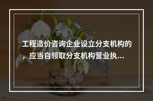 工程造价咨询企业设立分支机构的，应当自领取分支机构营业执照之