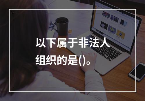 以下属于非法人组织的是()。