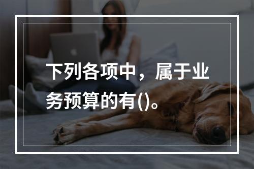 下列各项中，属于业务预算的有()。