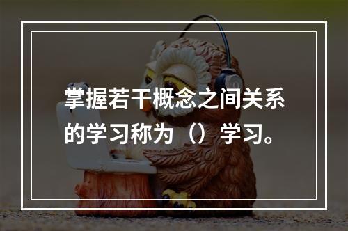 掌握若干概念之间关系的学习称为（）学习。