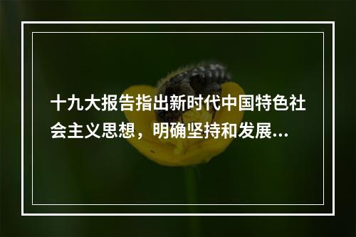 十九大报告指出新时代中国特色社会主义思想，明确坚持和发展中国