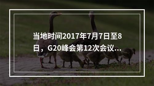 当地时间2017年7月7日至8日，G20峰会第12次会议在德