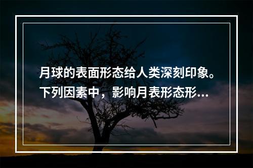 月球的表面形态给人类深刻印象。下列因素中，影响月表形态形成的