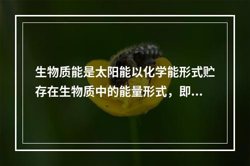 生物质能是太阳能以化学能形式贮存在生物质中的能量形式，即以生