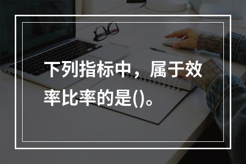 下列指标中，属于效率比率的是()。